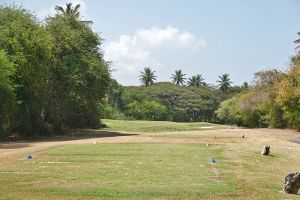 Tobago Plantations 7th